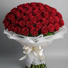 Букет 101 Красная роза Блэк Мэджик в Орлове Кировская область