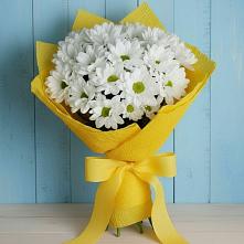 Букет цветов из:  Хризантемы в Орлове Кировская область