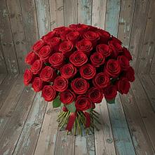 Букет 55 Красных роз Фридом #REPLACE_PRED# Орлове Кировская область