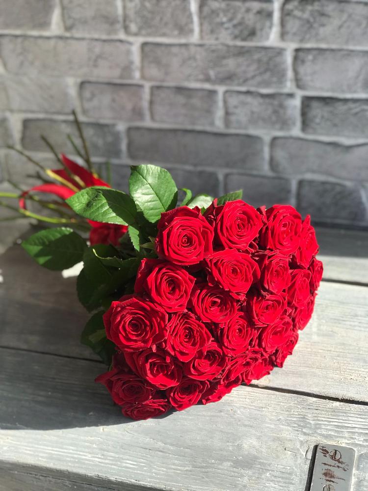 Букет Красные розы Фридом в Орлове Кировская область