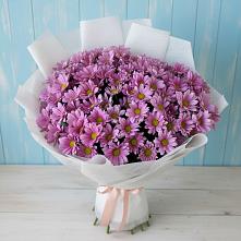 Букет цветов из:  Хризантемы в Орлове Кировская область