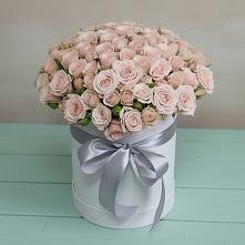 Цветочная композиция из Розы в шляпной коробке в Орлове Кировская область