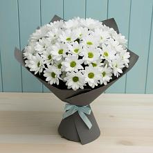 Букет цветов из:  Хризантемы #REPLACE_PRED# Орлове Кировская область