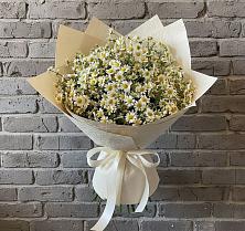 Букет цветов из:  Ромашки в Орлове Кировская область