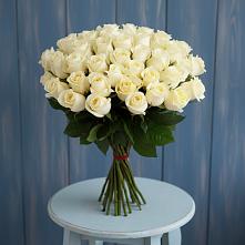 Букет 51 Белая роза Эдлесс Лав #REPLACE_PRED# Орлове Кировская область