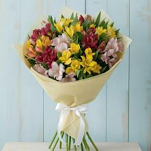 Букет цветов из:  Альстромерии в Орлове Кировская область