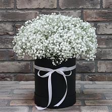 Цветочная композиция из Гипсофила в шляпной коробке в Орлове Кировская область