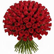 Букет Красные розы Чери Лав #REPLACE_PRED# Орлове Кировская область