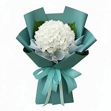 Букет цветов из:  Гортензия в Орлове Кировская область